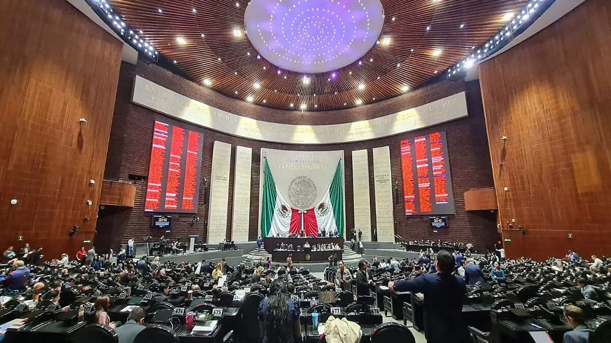 Cámara de Diputados (17)